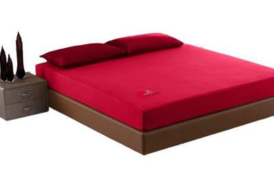 大自然棕墊 健康睡眠的理想選擇