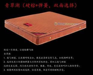 供應廣州床墊廠家生產臺灣友情床墊彈簧加棕床墊
